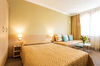 Отель Geneva Hotel София Стандартный одноместный номер-3