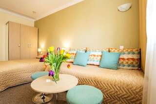 Отель Geneva Hotel София Стандартный одноместный номер-8